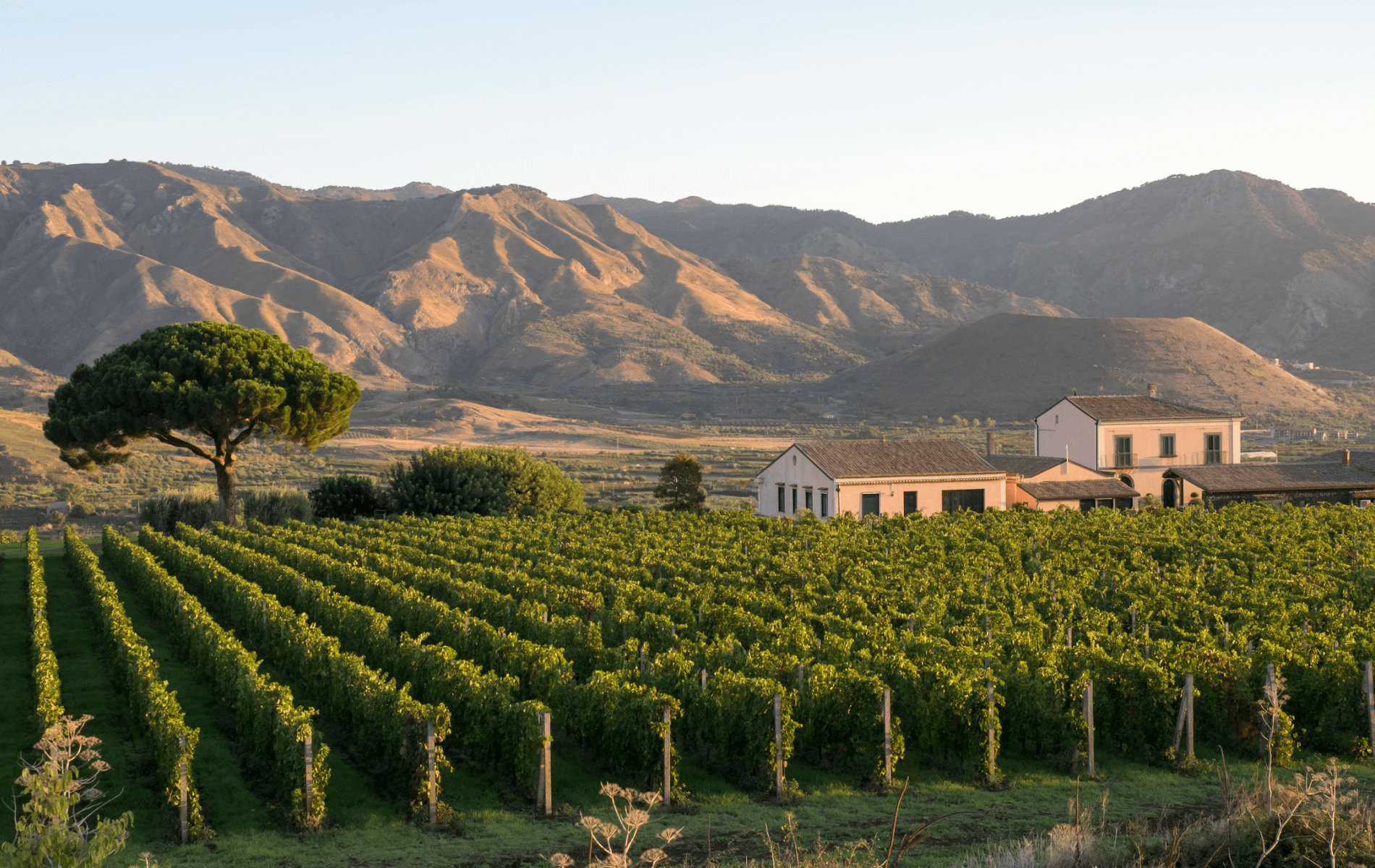 Dimora Cottanera: the art of slow living between vineyards and design